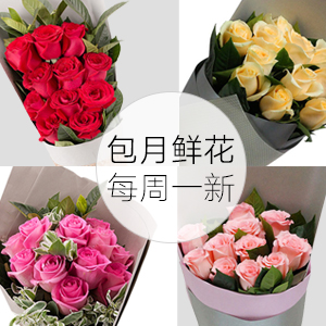 鲜花/包月鲜花: 11枝精品玫瑰，每周一色
 [包 装]：精美