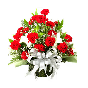 鲜花/美丽季节:红色康乃馨36朵 白色百合2朵
[包 装]：花