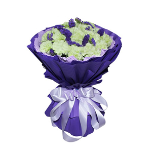 鲜花/听妈妈的话:19枝绿色康乃馨
包 装:粉紫色卷边纸内衬，紫色瓦