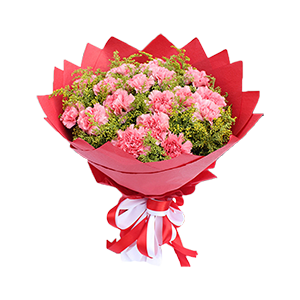 鲜花/粉色康乃馨: 16支粉色康乃馨
 [包 装]：唯美红色纸包