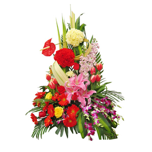 鲜花/祝福永相伴: 粉色百合、红色太阳花、红色郁金香、红色和黄色康
