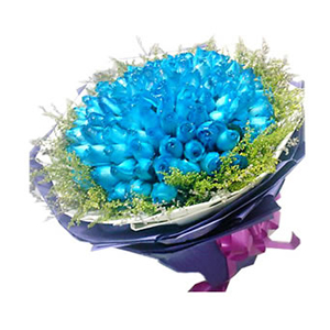 鲜花/蓝色海洋: 99只蓝色妖姬
 [包 装]：白色和深紫色皱