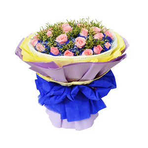 鲜花/一路向前: 29枝粉玫瑰独立包装
 [包 装]：蓝色学点