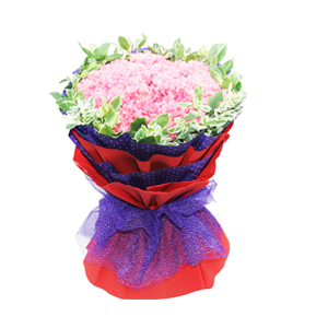 鲜花/亲情围绕:33枝粉色康乃馨
包 装:紫色雪点瓦楞纸、红色瓦楞