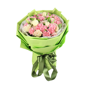 鲜花/妈妈我爱你:19枝粉色康乃馨、8枝花边桔梗
包 装:浅绿色包装
