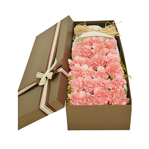 鲜花/祝福妈妈: 24支粉色康乃馨
 [包 装]：咖啡色长方形