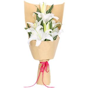 鲜花/温暖惦念:9朵白百合
花 语:一份温暖来自惦记，一份祝福来自