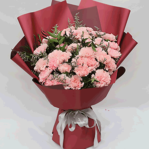 鲜花/温情:33枝粉色康乃馨+高级配草
花 语:她在，为你遮风